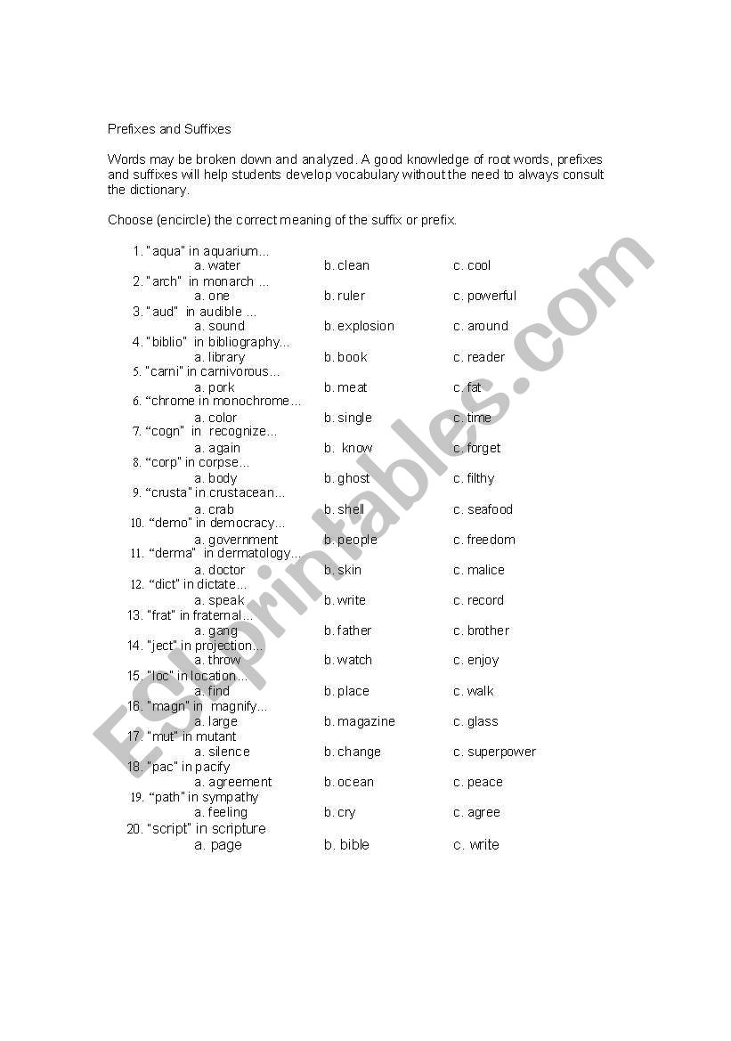 Quiz on Prefixes and Suffixes worksheet