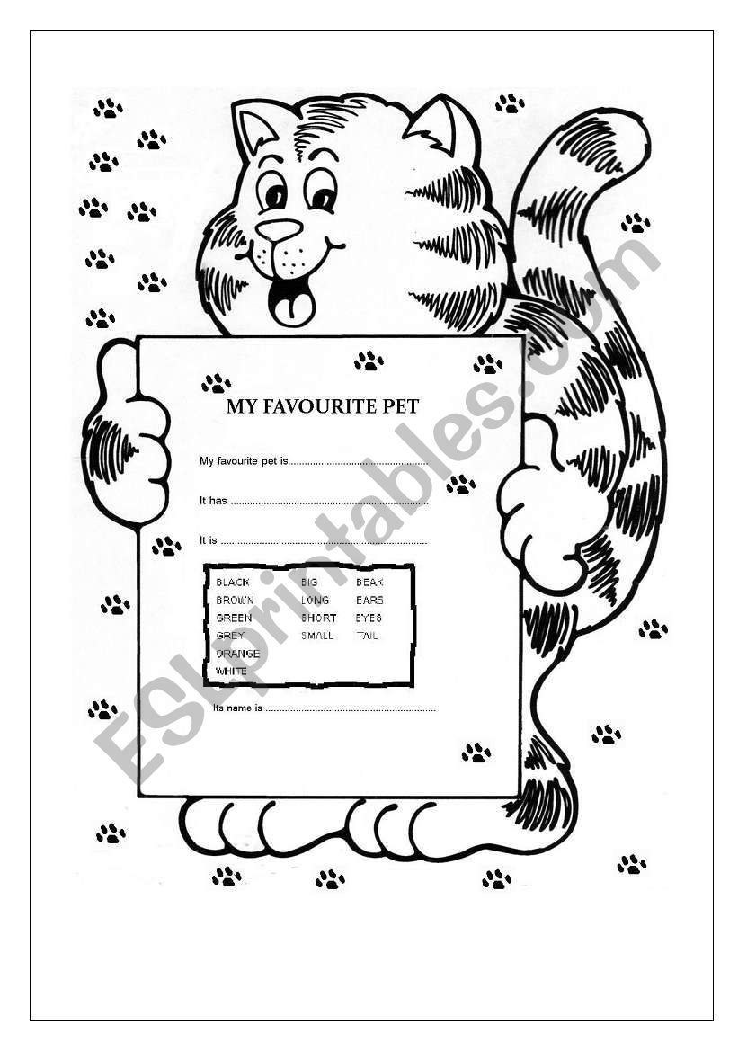 MY FAVOURITE PET worksheet