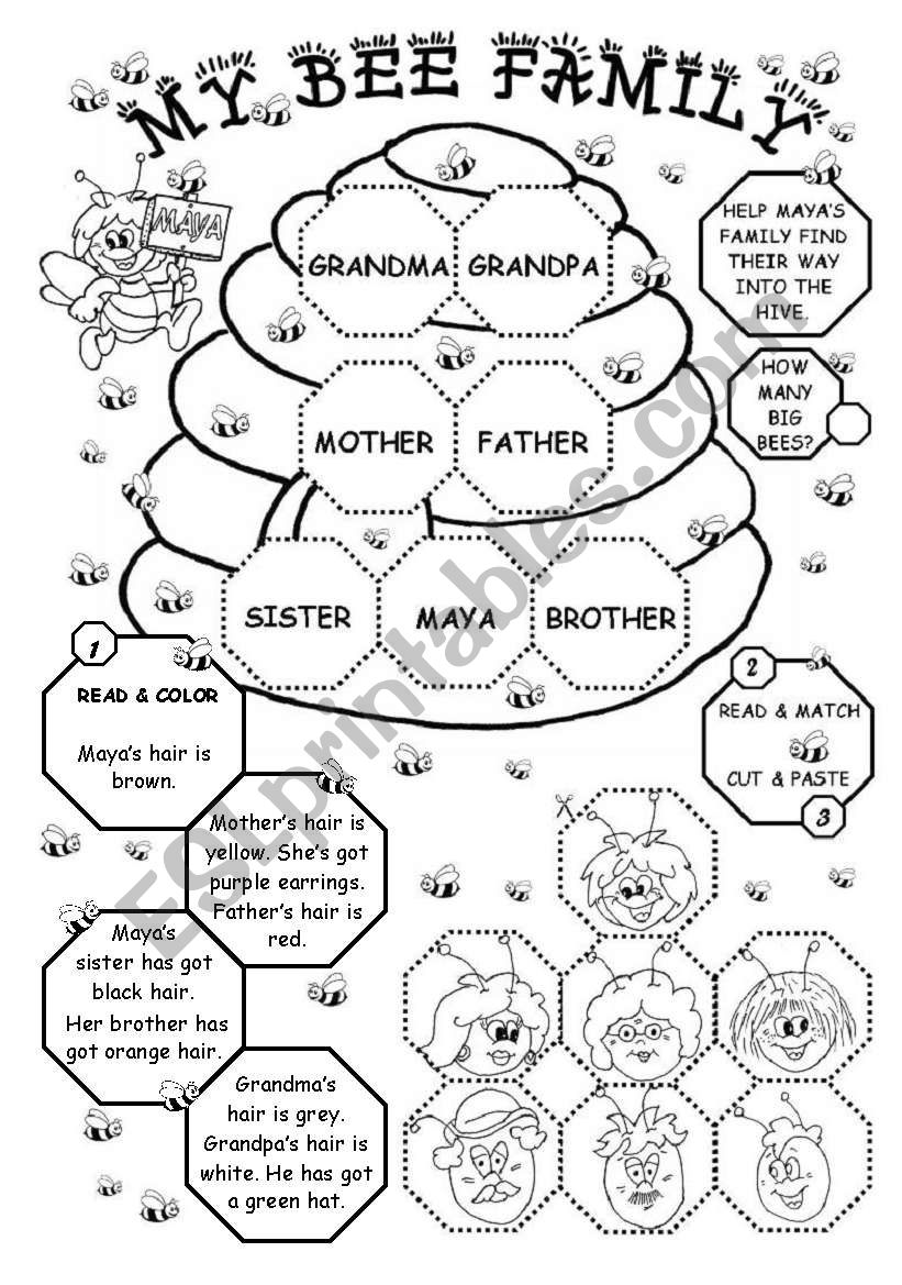 Download My Bee Family Esl Worksheet By Gabitza