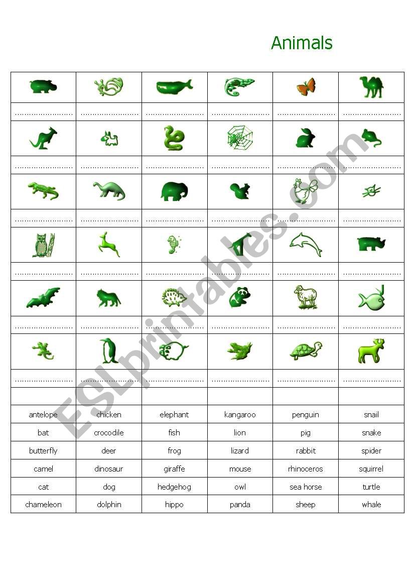 Animals worksheet