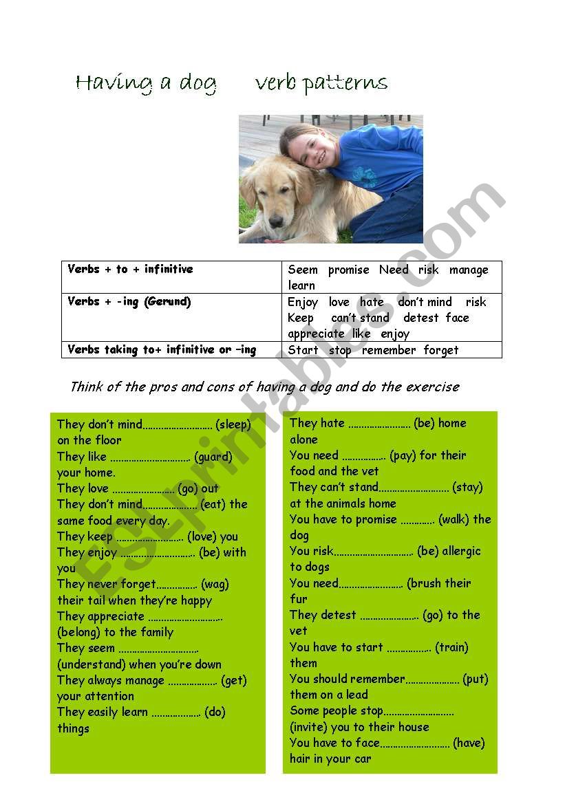 having a dog        verb patterns 