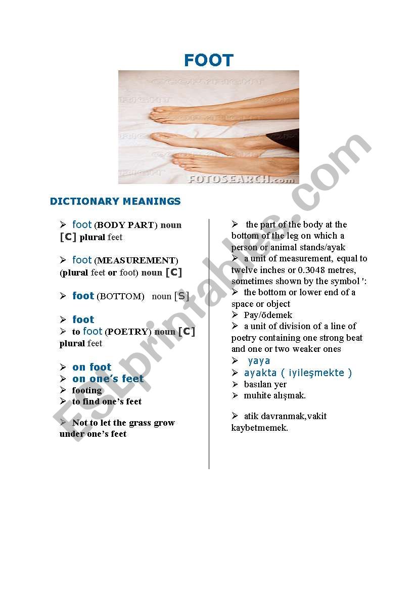 all dictionary meanings,expressions,idioms and proverbs of 
