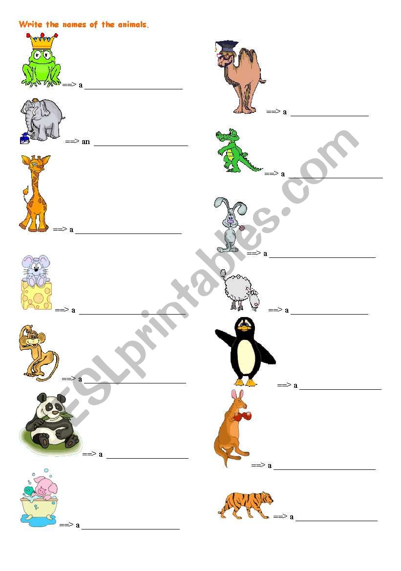 Animals - vocabulary worksheet