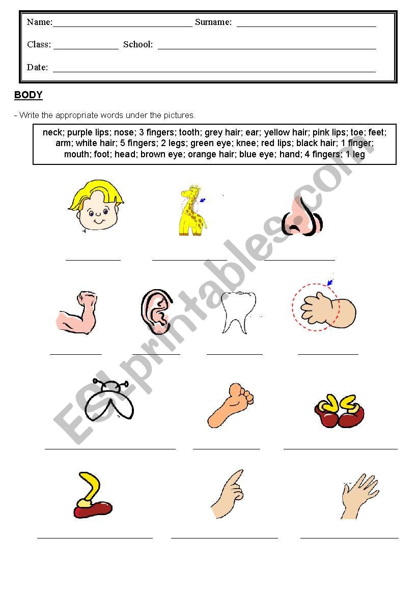 Body worksheet