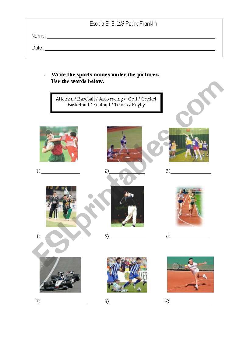 Sports worksheet