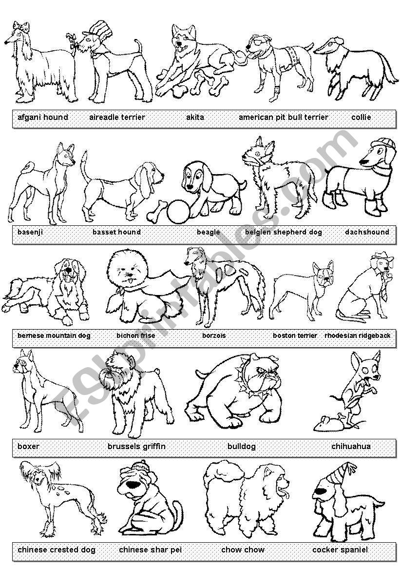 dogs pictionary #1 BW version worksheet