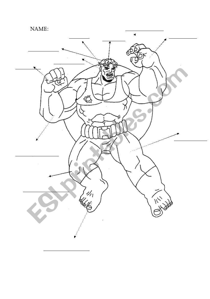 PARTS OF THE BODY  (HULK) worksheet