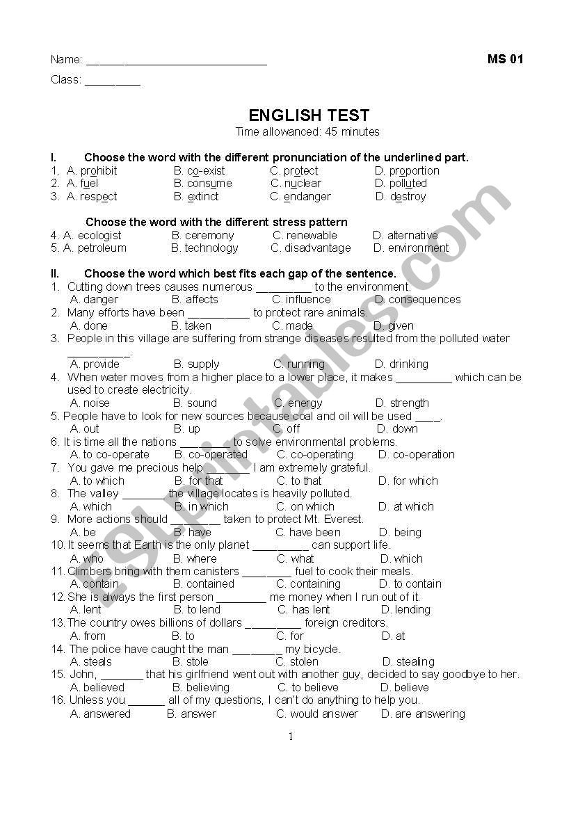 grammar test  worksheet