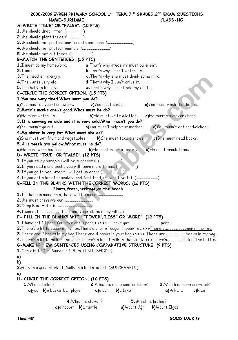 exam questions worksheet