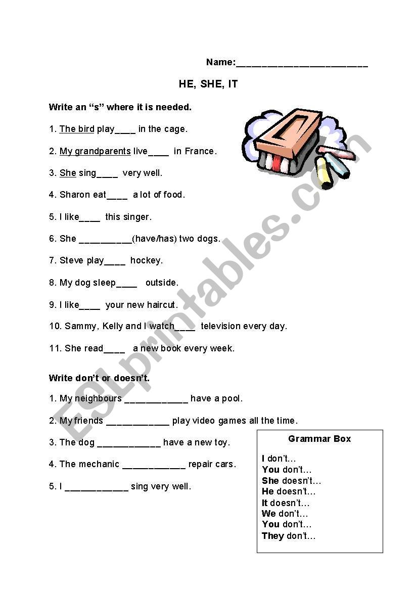 3rd person singular S worksheet