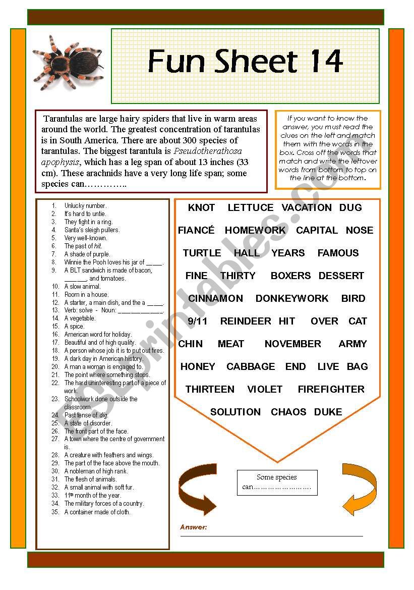 Fun Sheet 14 worksheet