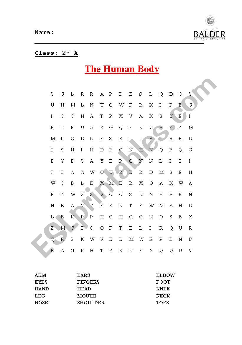 the human body wordsearch worksheet