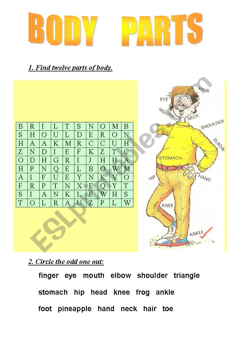 BODY  PARTS worksheet