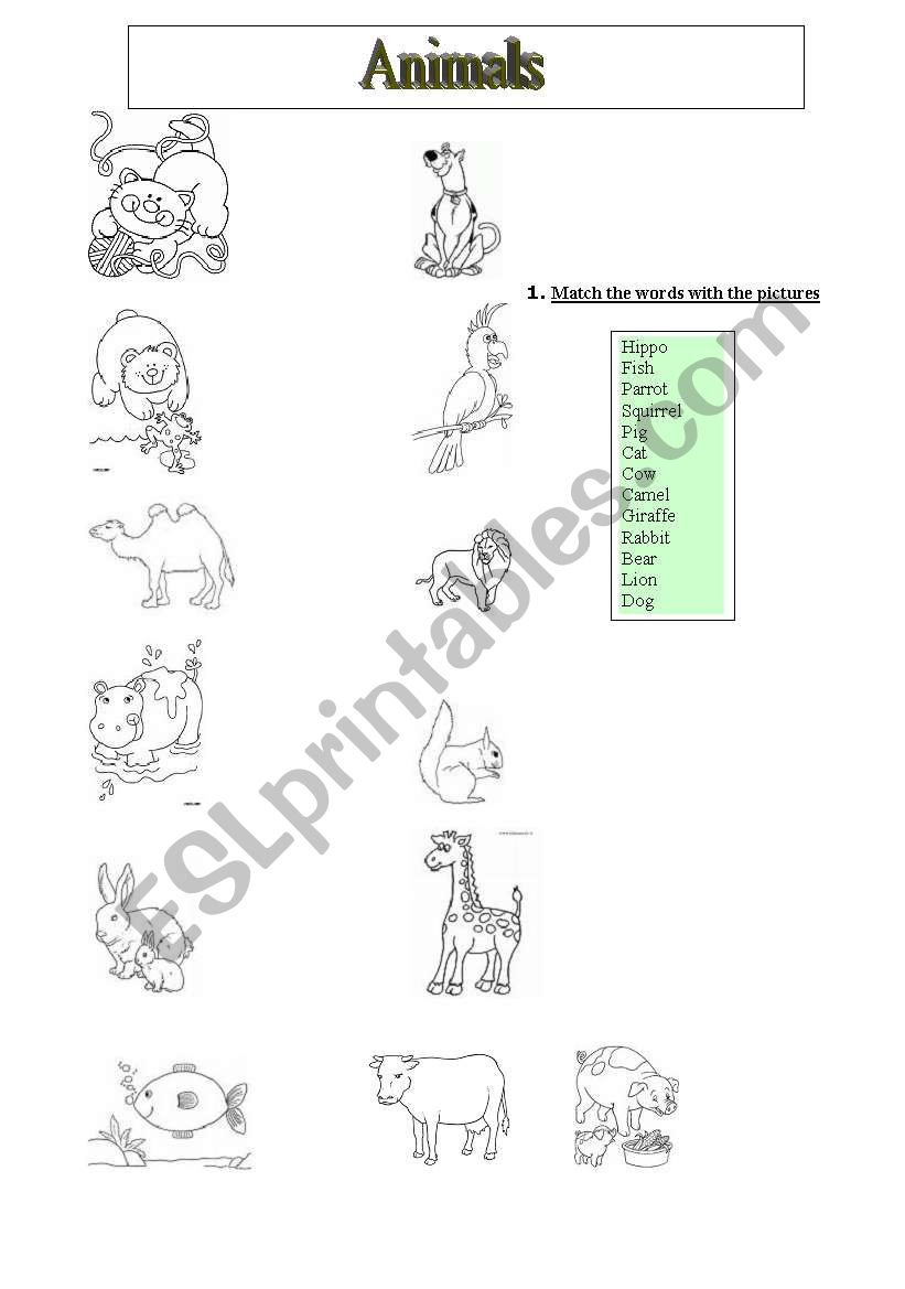 Animals worksheet