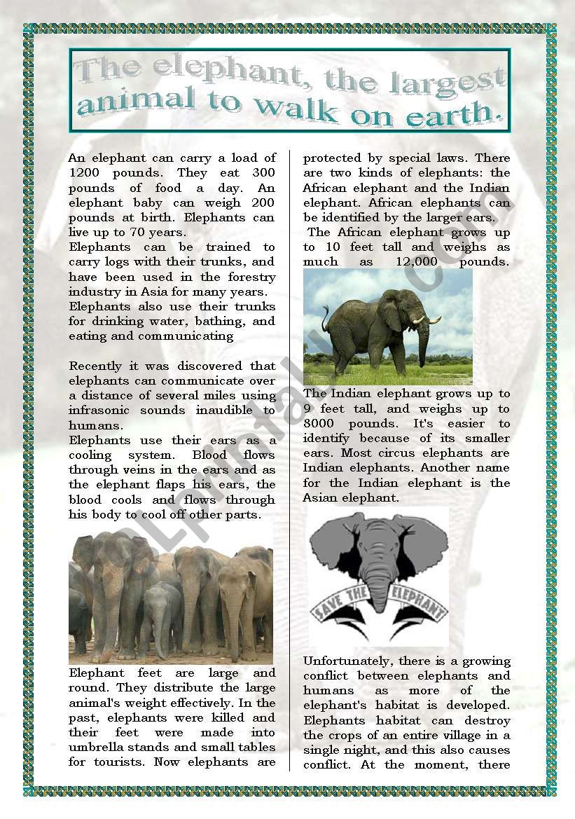 The elephants (reading/information) (5 pages+answers)