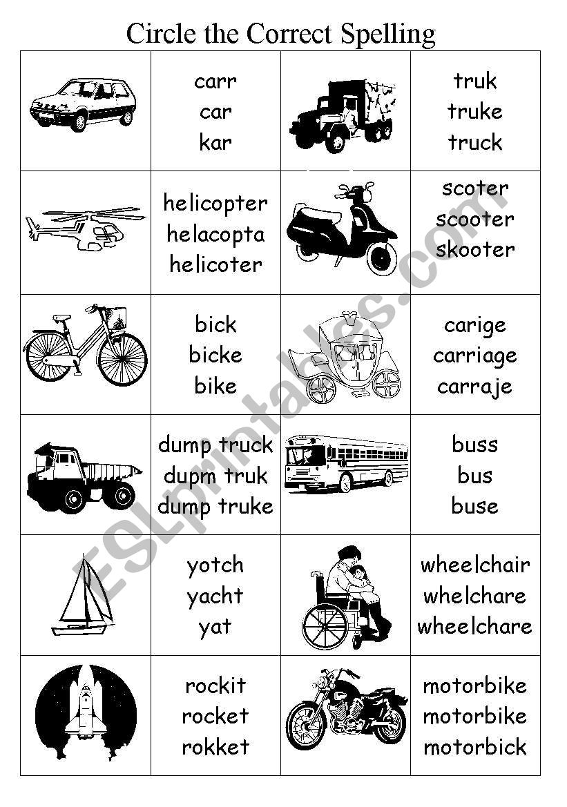 Transport - Correct Spelling worksheet