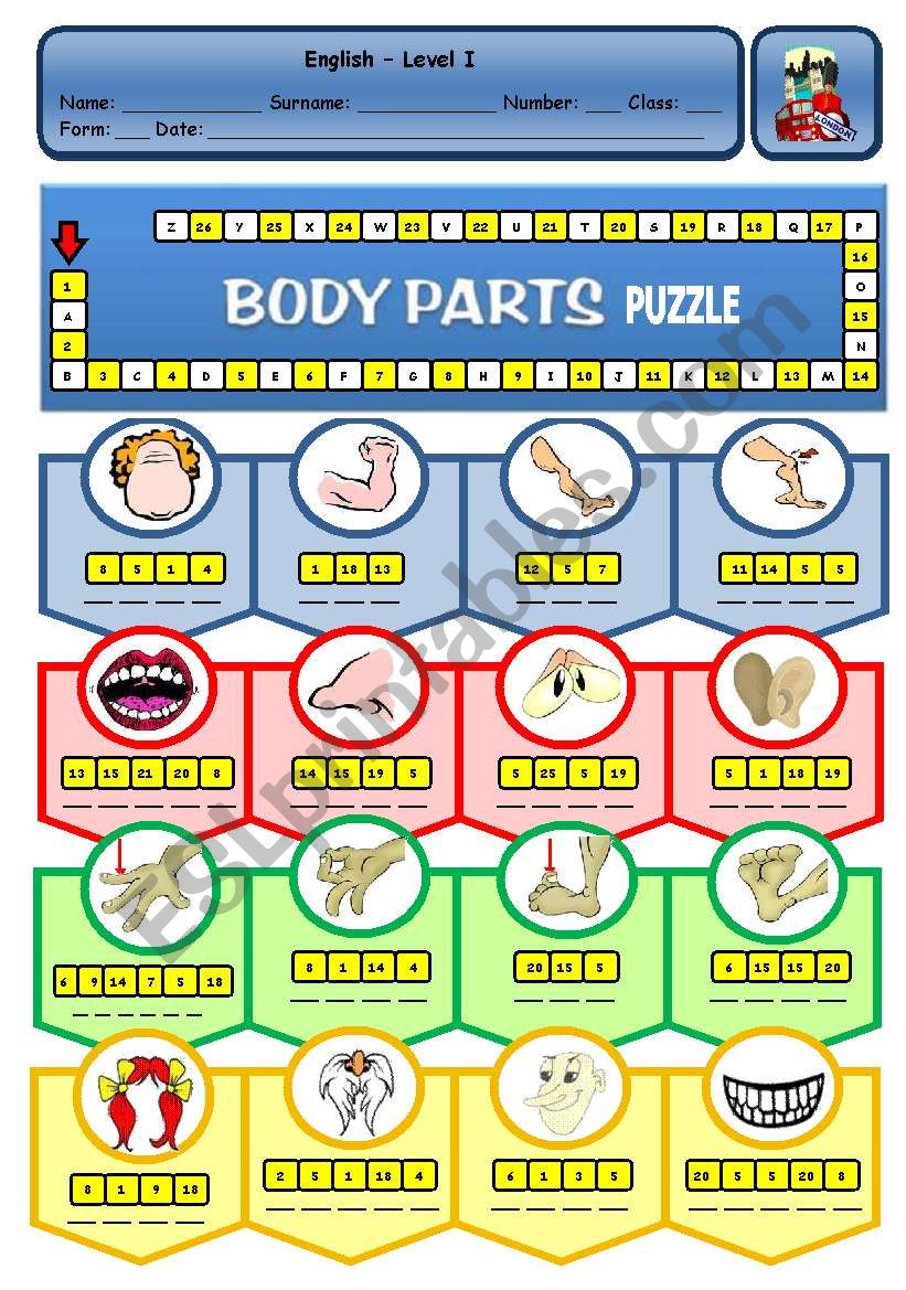 BODY PARTS PUZZLE worksheet