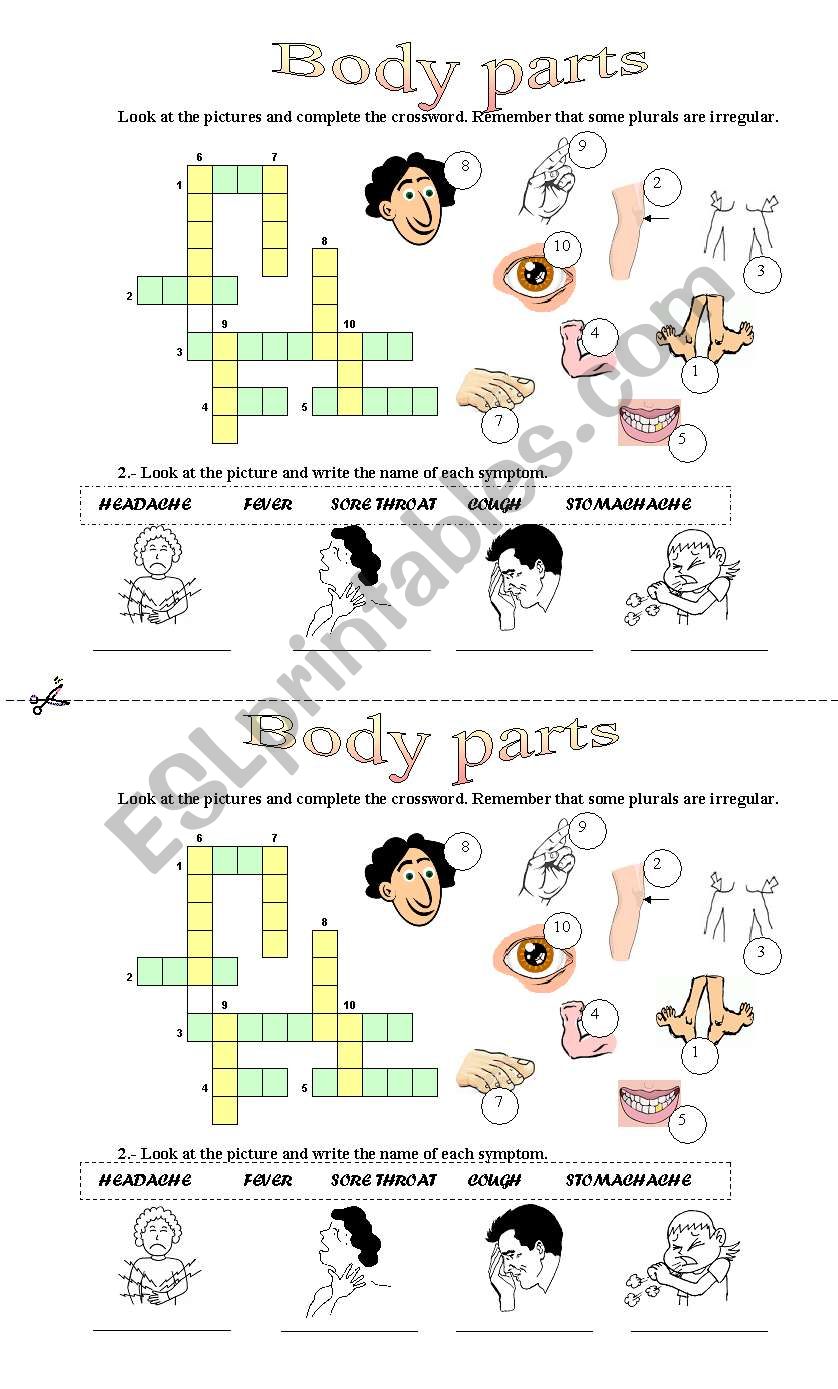 Body parts worksheet