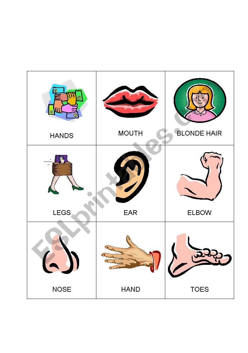 Body Bingo 6 worksheet