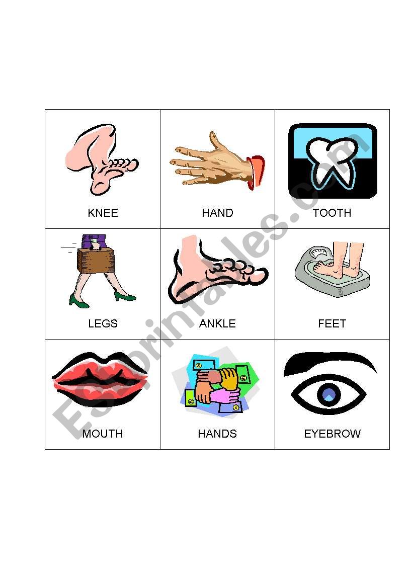 free body parts flashcards printables bingo sheets for kids