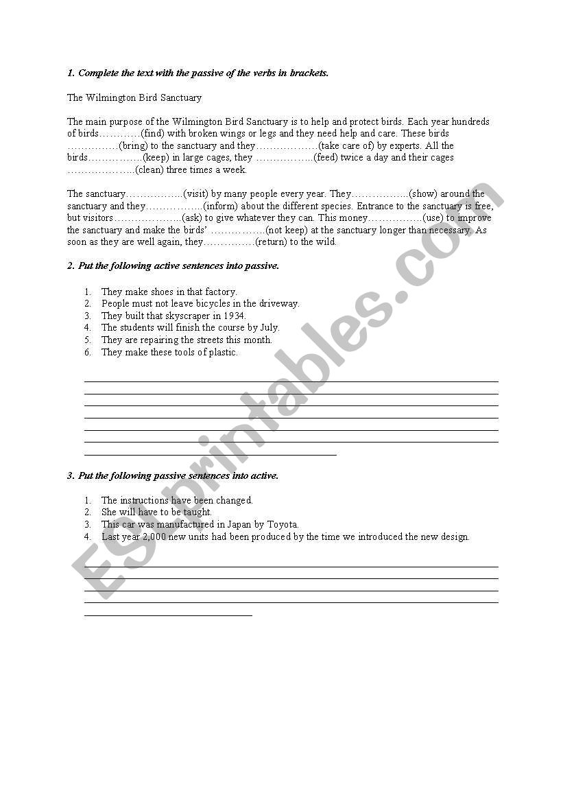 Passive worksheet