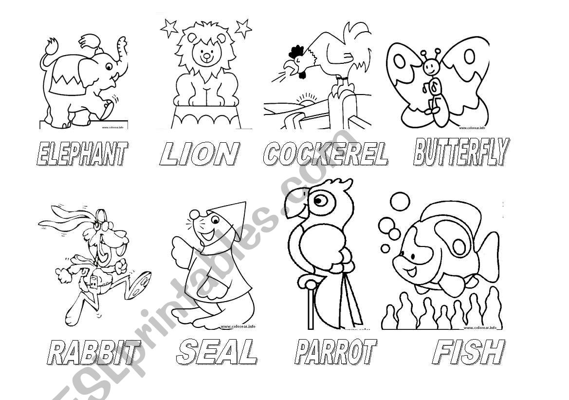 Animals worksheet