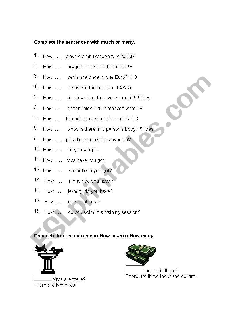 how much/how many worksheet