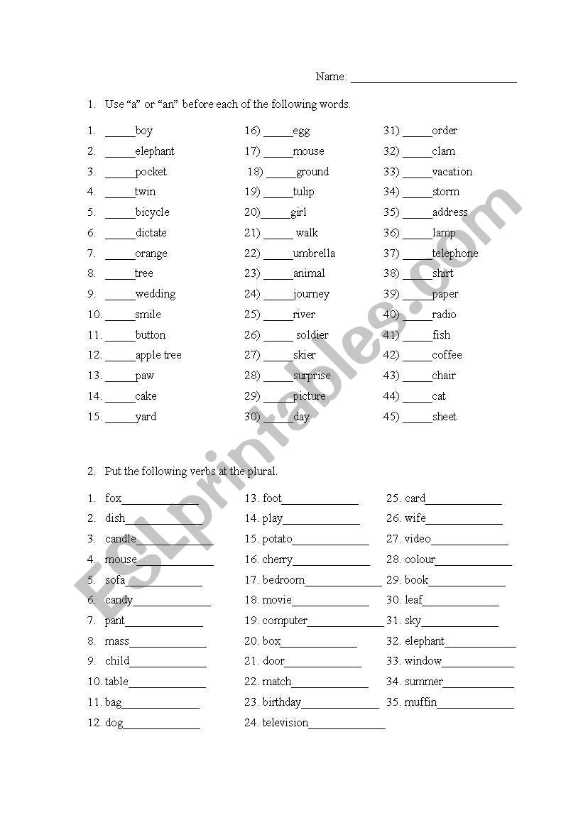 a-an-plural-esl-worksheet-by-juchamb