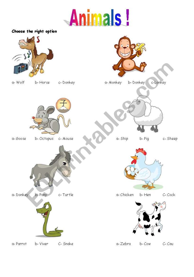 fun with animals worksheet