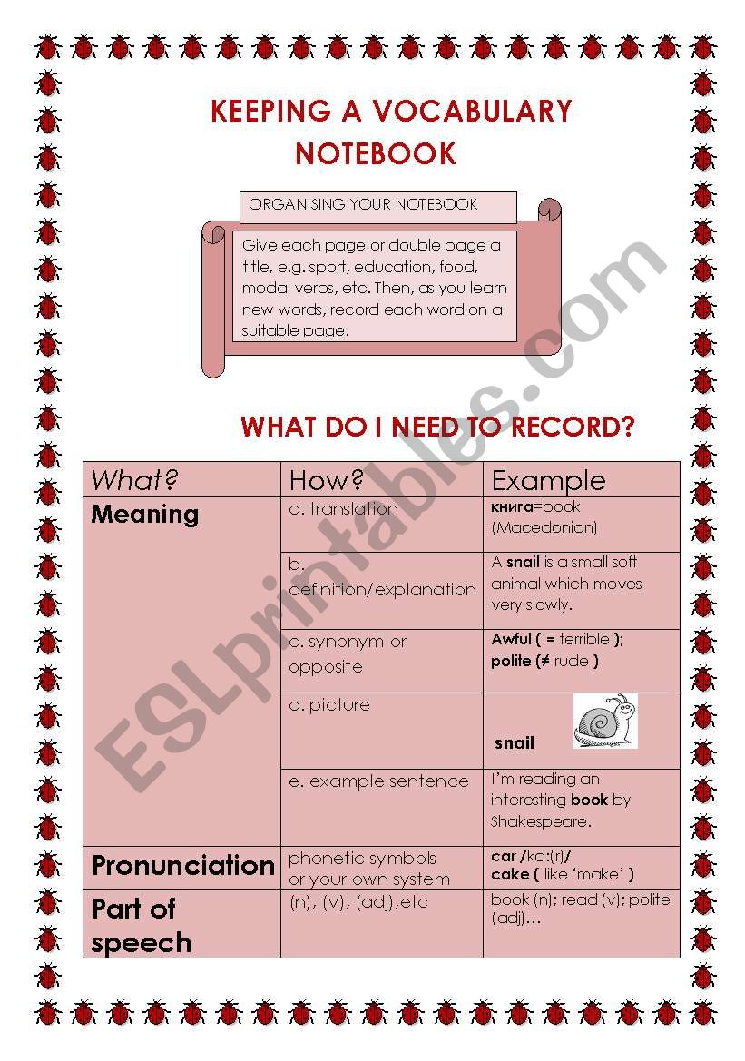 vocabulary notebook worksheet