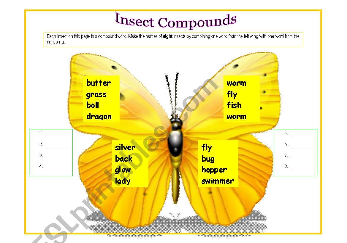 Insects Compounds worksheet