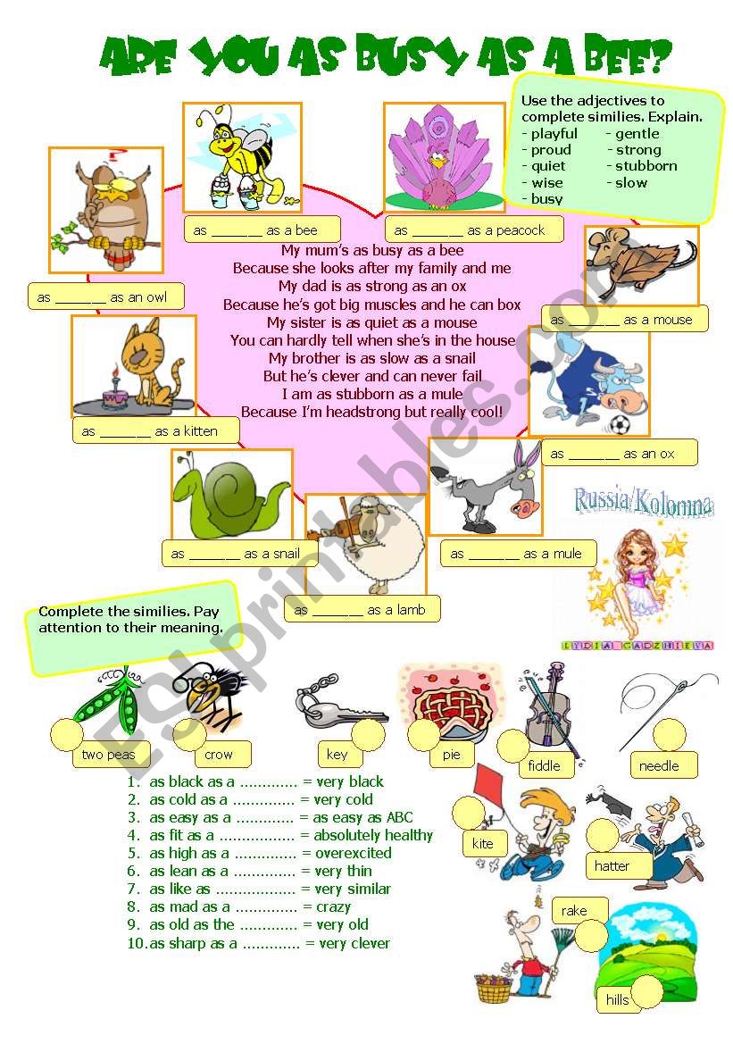 ARE YOU AS BUSY AS A BEE? worksheet