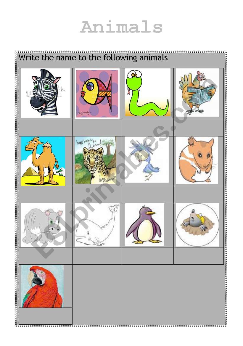 ANIMALS worksheet