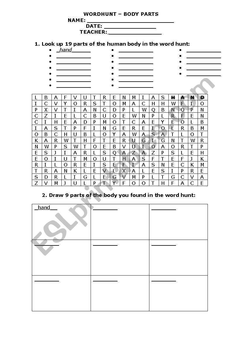 Word Hunt - BODY worksheet