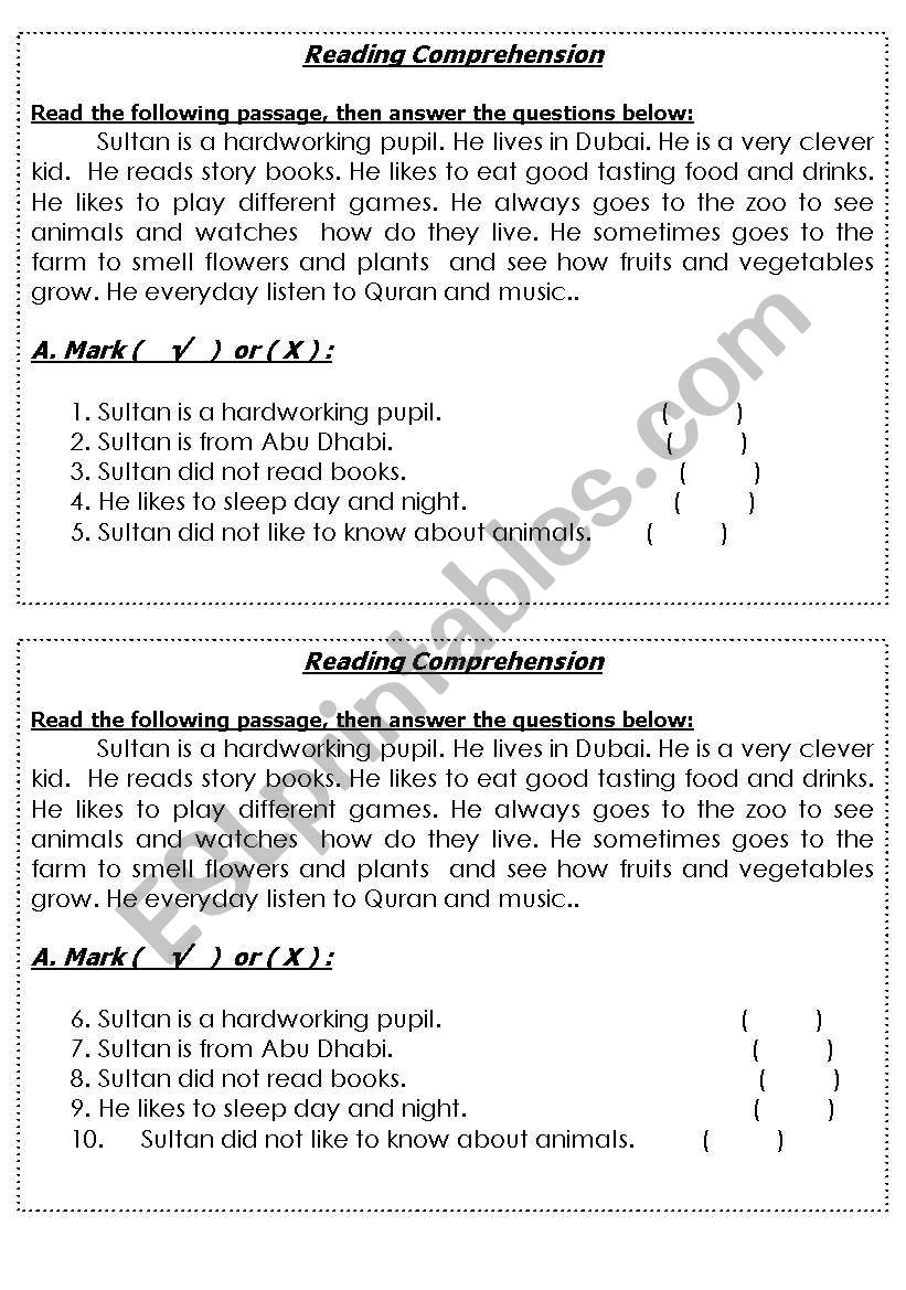 reading comprehension worksheet