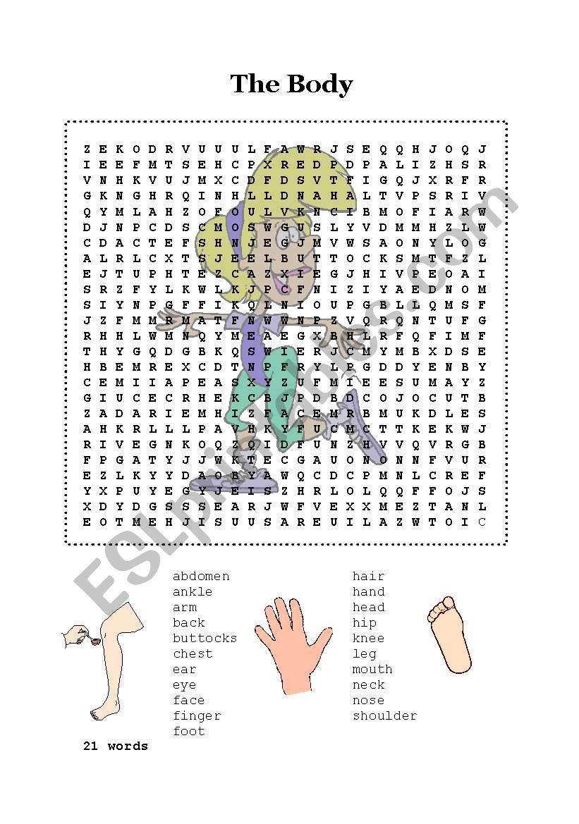 Crossword - The body worksheet