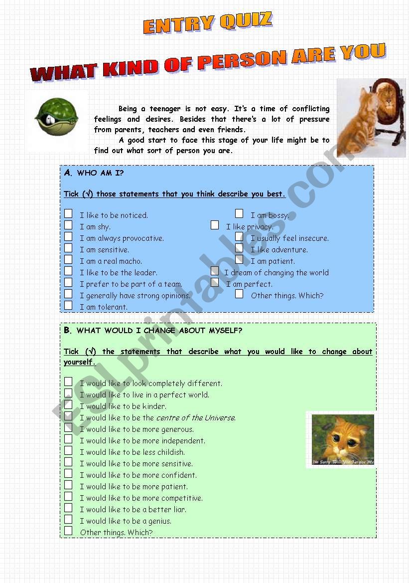 Entry Quiz What kind of person are you ESL worksheet by paula esl