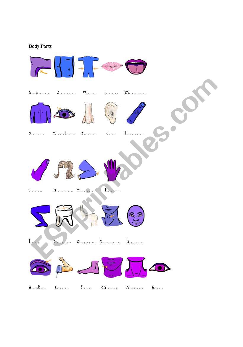 body parts 2 worksheet