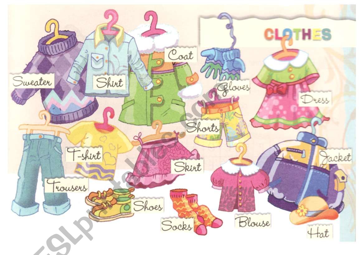 Clothes worksheet