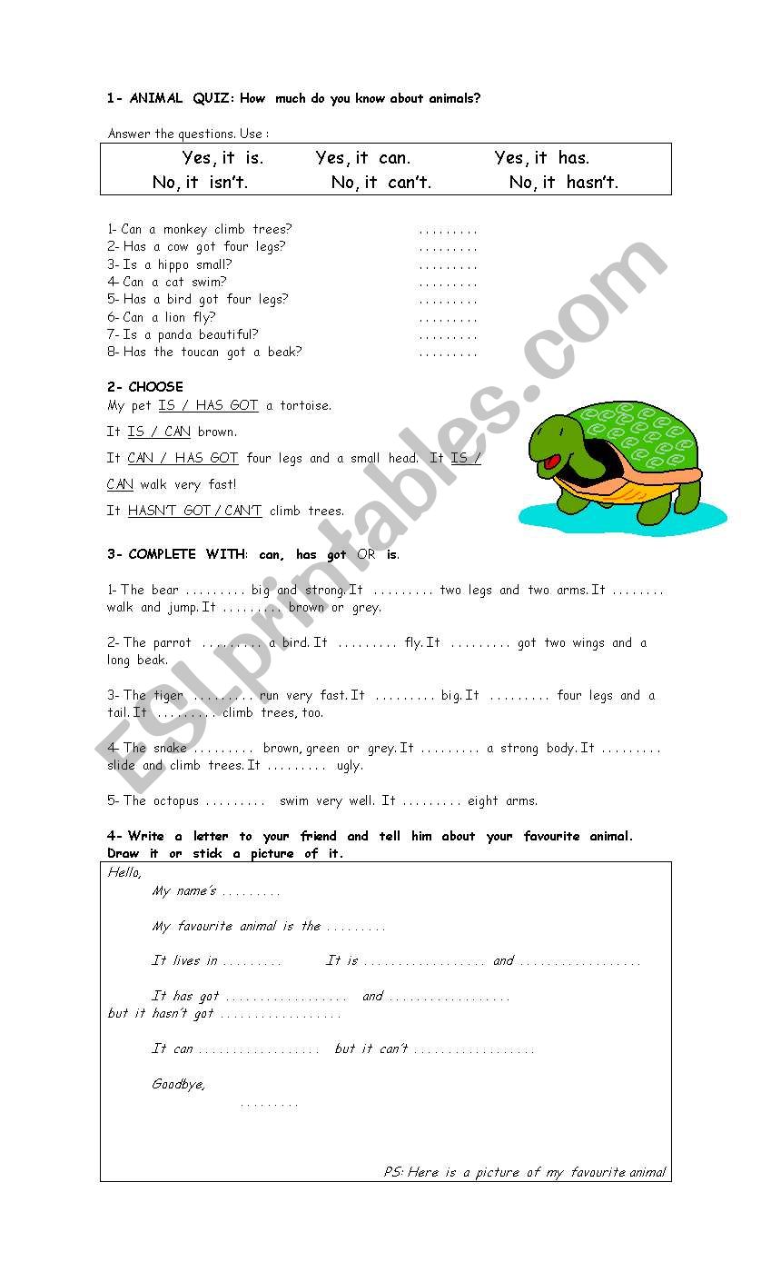 Animals worksheet