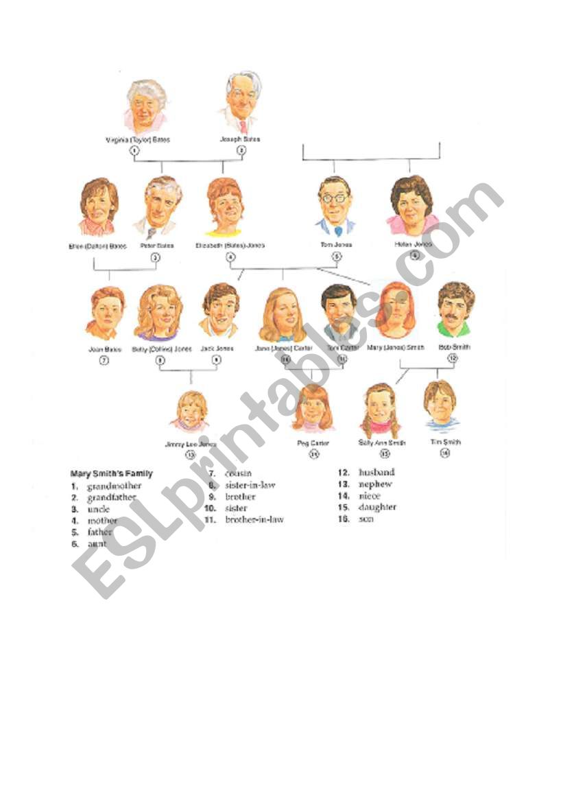 family tree worksheet