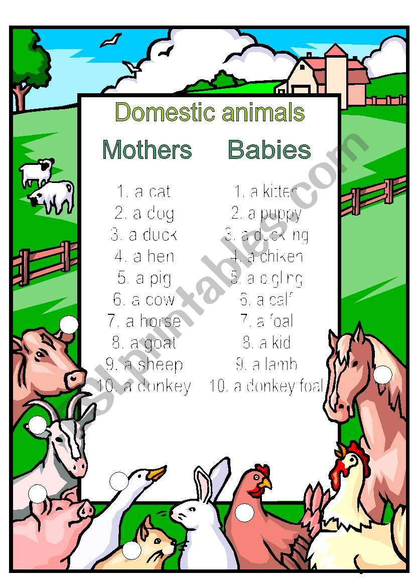 Mothers and babies vocabulary worksheet
