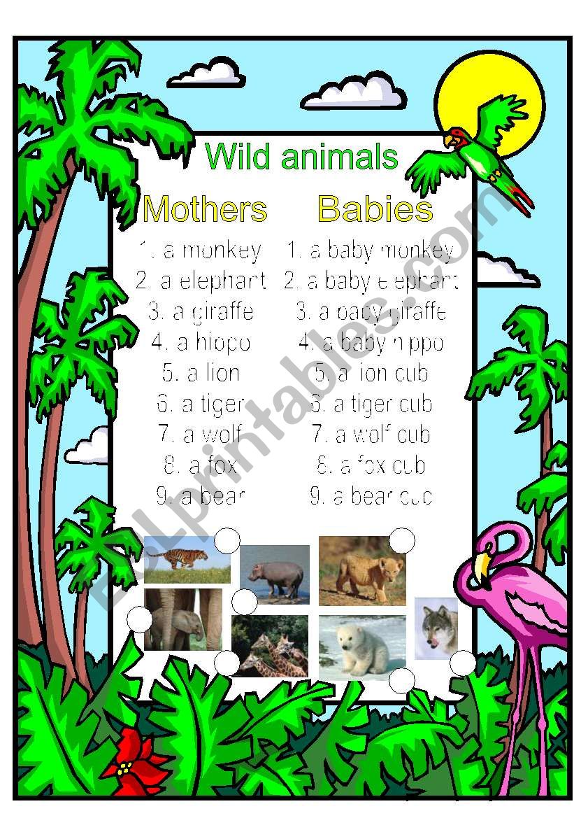 Mothers and babies vocabulary 2