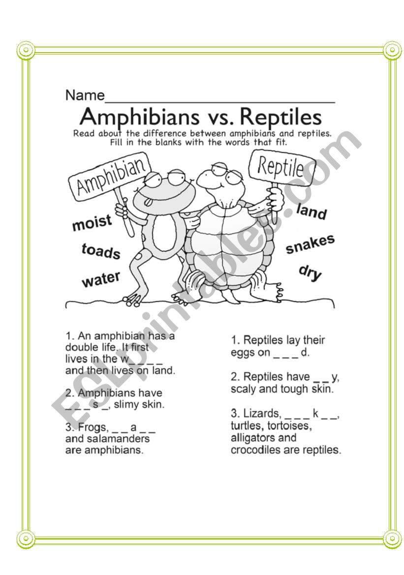 Amphibians vs Reptiles worksheet