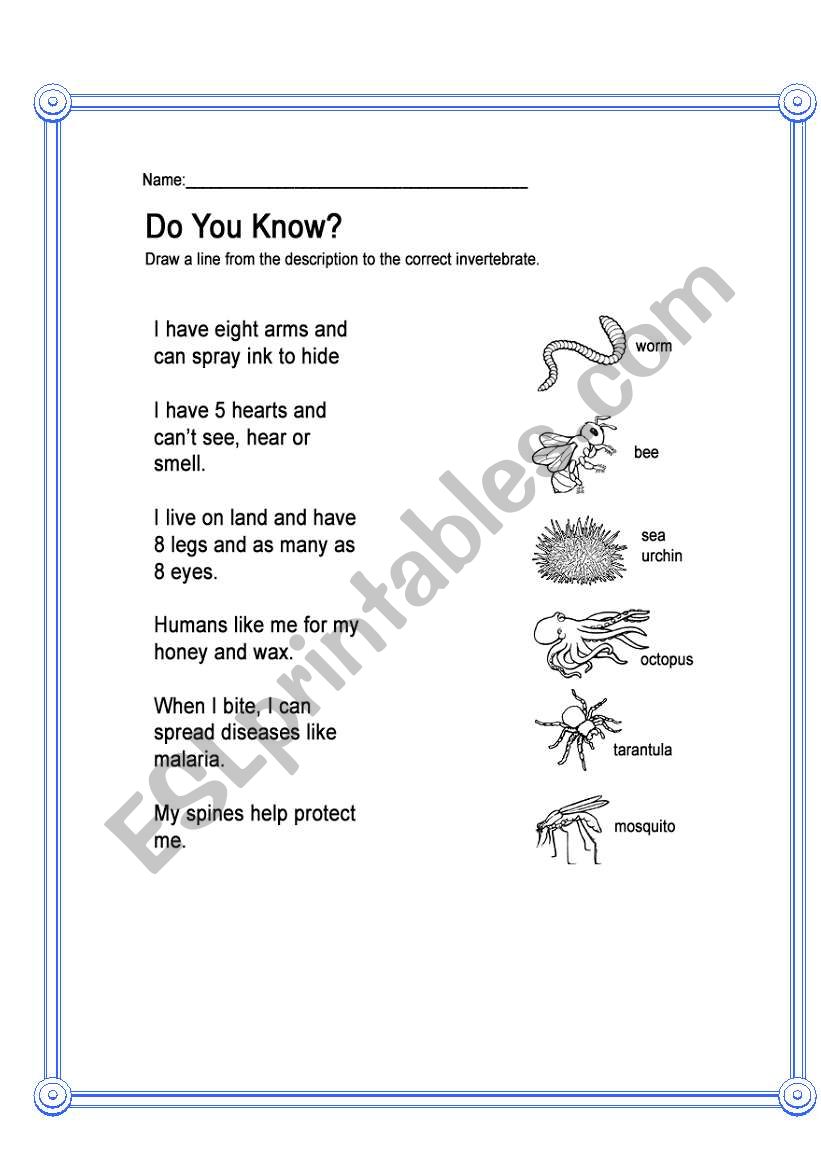 Bilogy- Animals worksheet