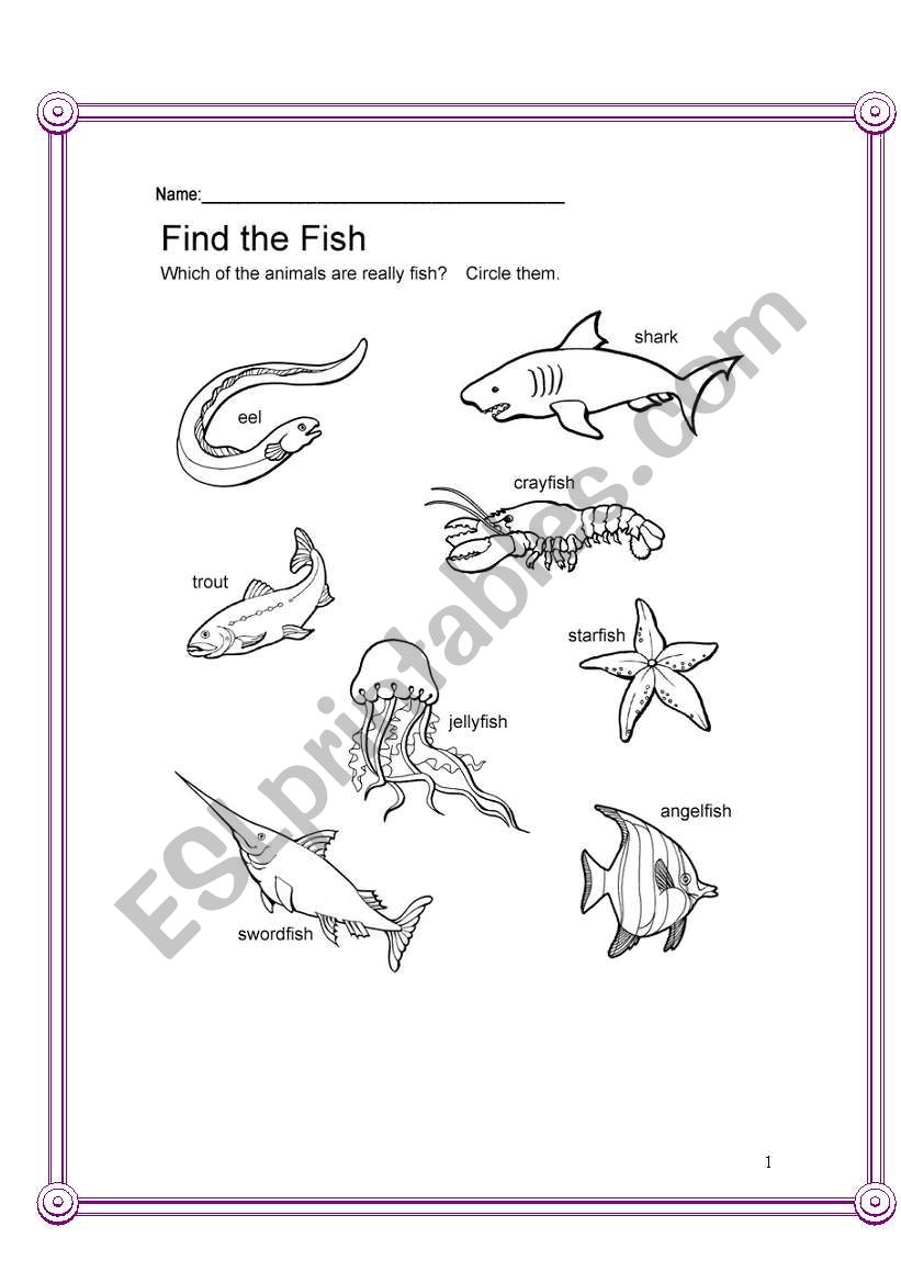 Biology-Animals worksheet