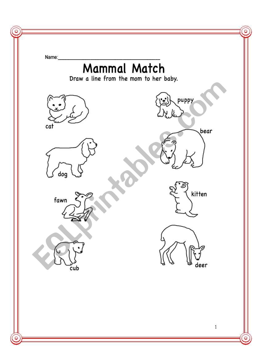 Biology-Animals worksheet