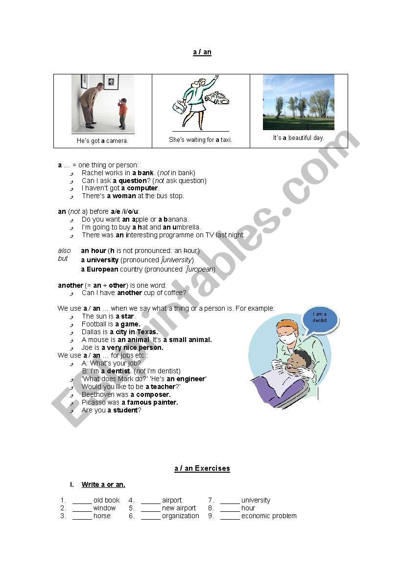 a / an worksheet