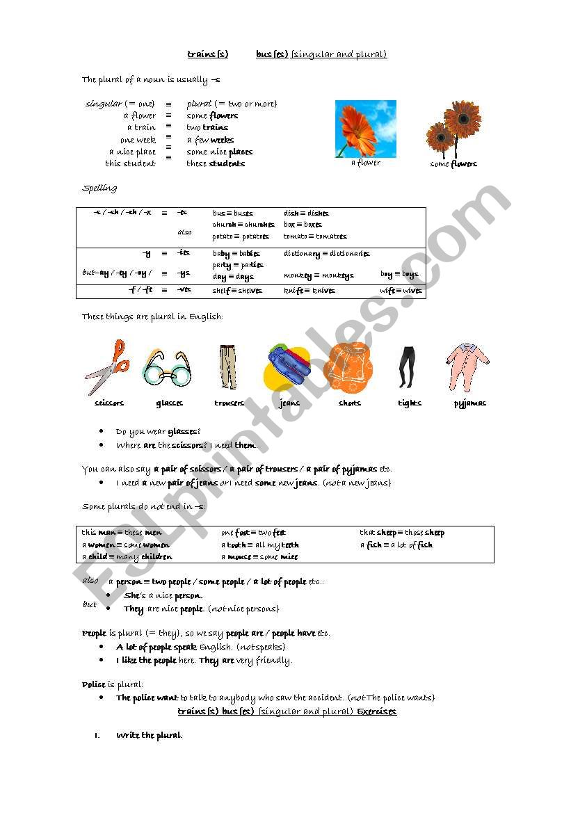 Singular and Plural worksheet