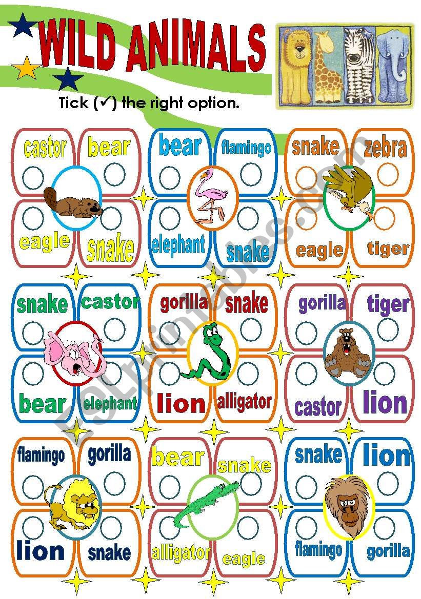 WILD ANIMALS worksheet